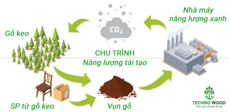 Ảnh chu trình năng lượng tái tạo từ gỗ keo