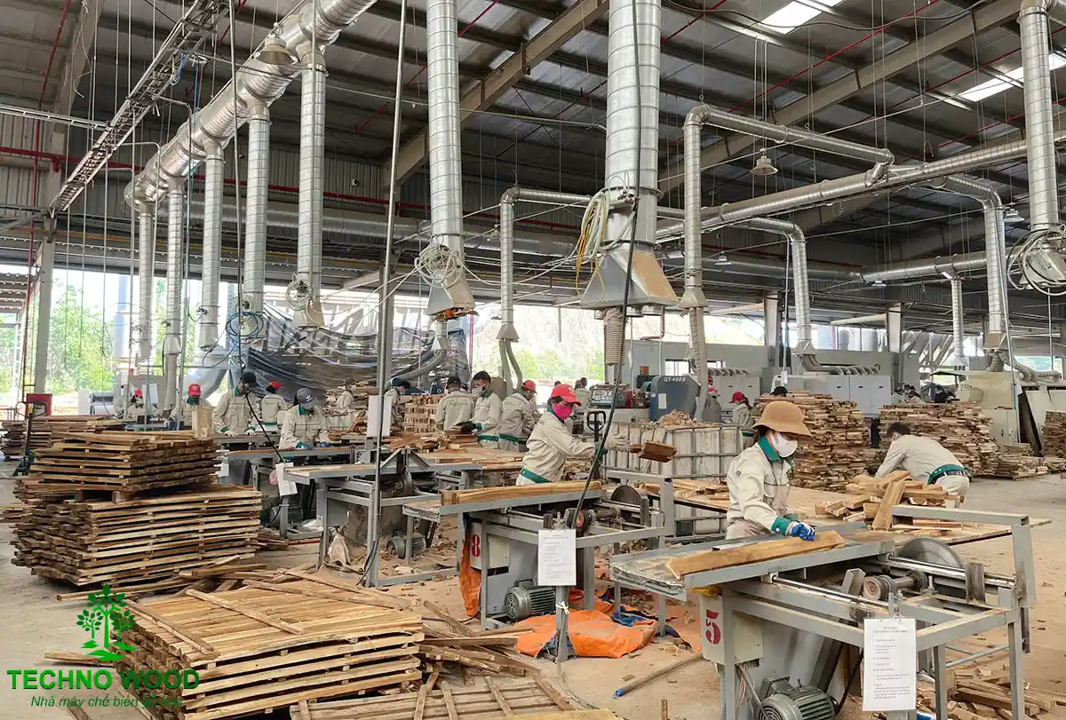Techno Wood - Nhà máy sản xuất chế biến gỗ keo hàng đầu Việt Nam