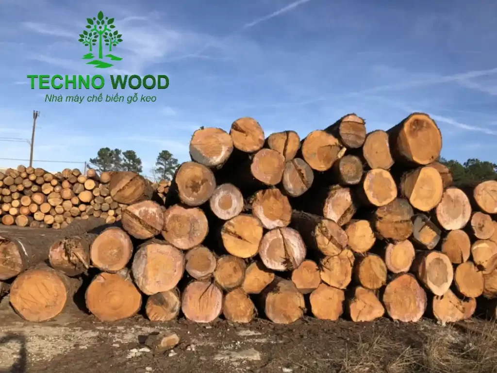 Ảnh đại diện bài viết Ấn Độ dự kiến tăng kiểm soát chất lượng đối với các sản phẩm gỗ