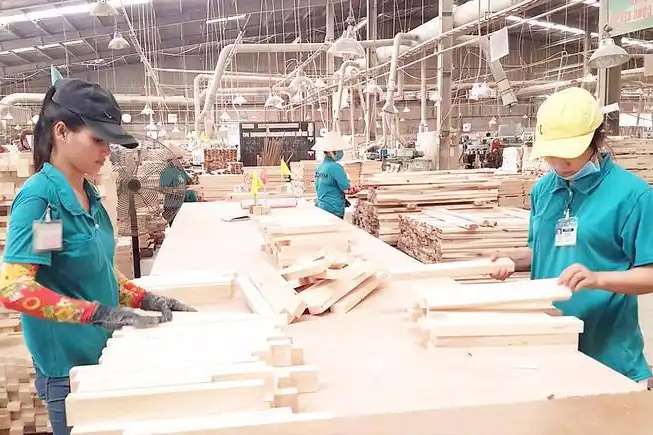 Ảnh - Doanh nghiệp gỗ Bình Định đặt mục tiêu xuất khẩu đạt 1,2 tỷ USD trong năm mới
