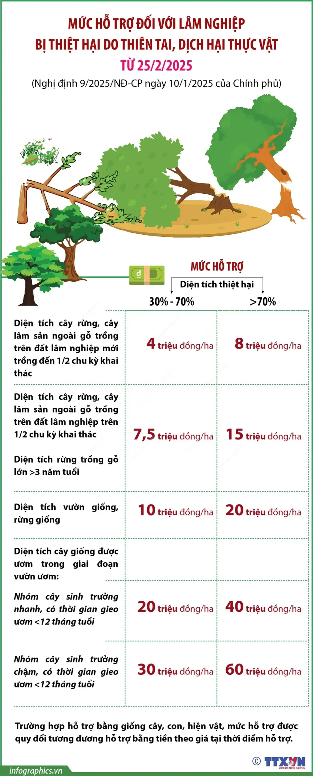 Mức hỗ trợ đối với lâm nghiệp bị thiệt hại do thiên tai, dịch hại thực vật từ 25_2_2025