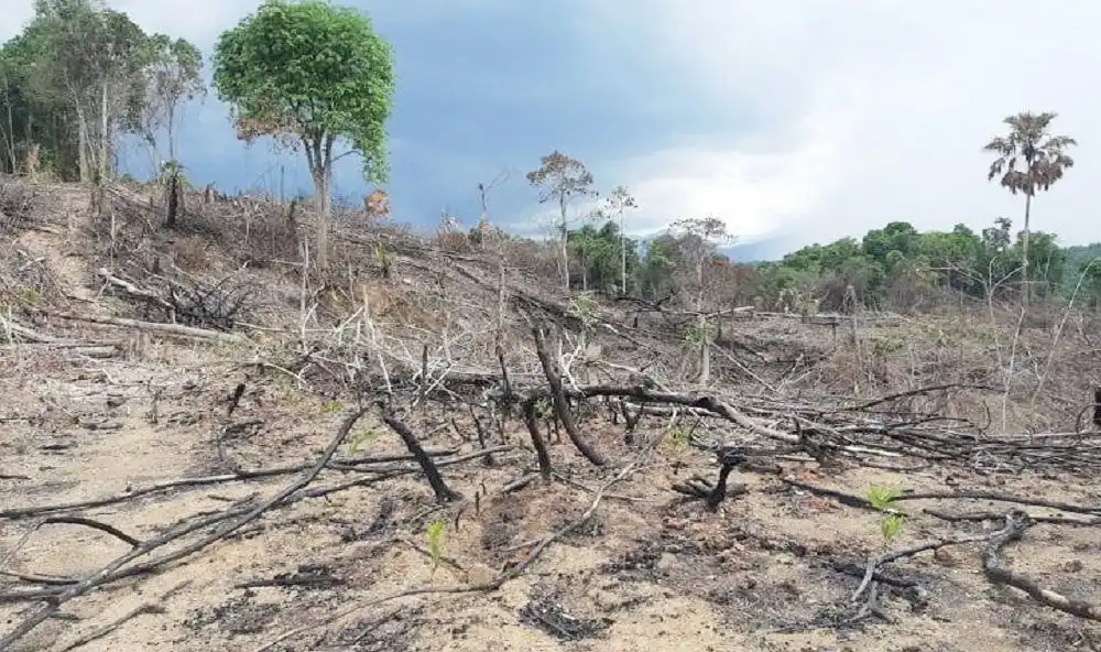 Bắc Giang điều tra mở rộng vụ 1.000 ha đất có rừng tự nhiên bị chặt phá, hủy hoại