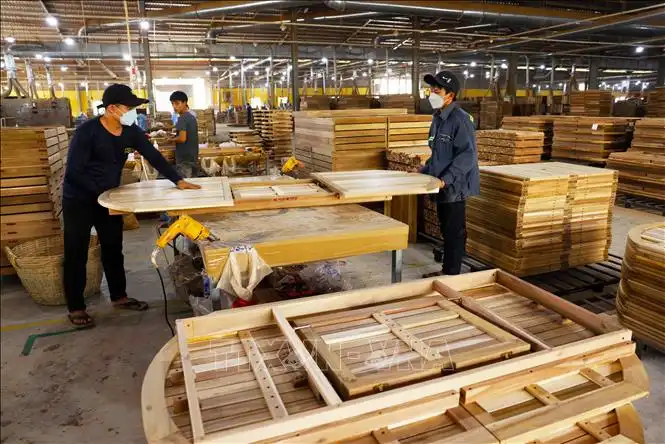 New Zealand và Việt Nam tăng cường hợp tác xuất khẩu gỗ - Ảnh