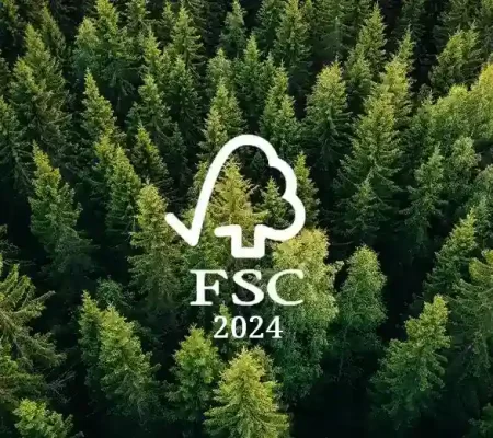 Ảnh đại diện bài viết: FSC và những thách thức trong năm 2024