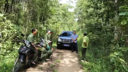 Ảnh đại diện bài viết: Áp lực đối với rừng bảo tồn thiên nhiên Ea Sô